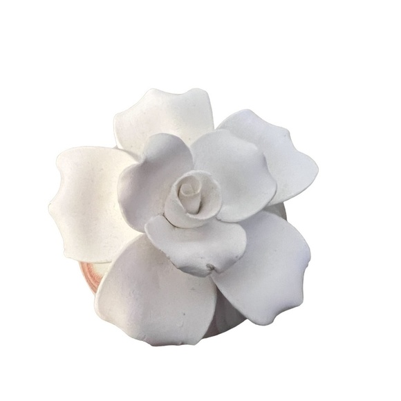 NEW Multicolor Marbled Succulent Diffuser‎ - Picture 4 of 8